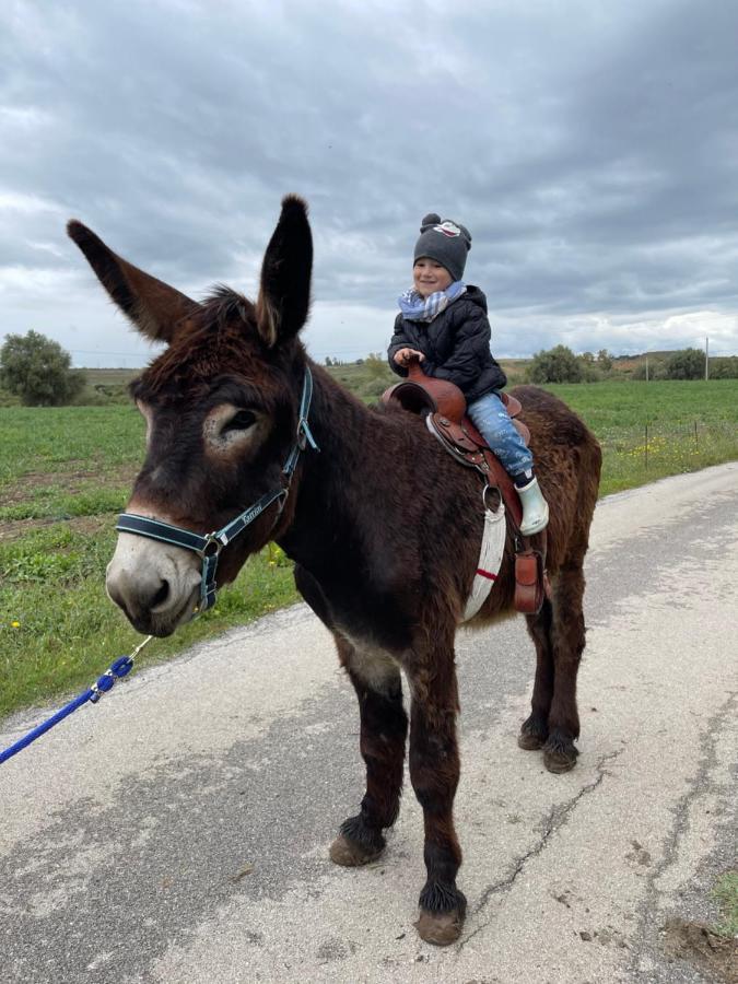 Il Vecchio Frantoio Villa Augusta Kültér fotó
