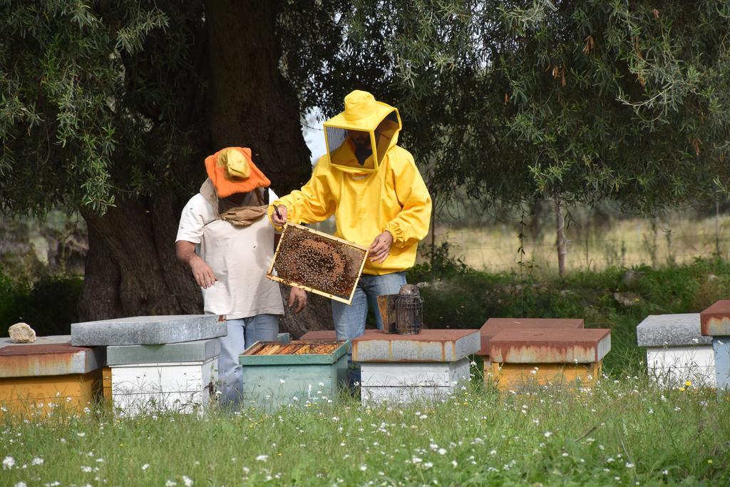 Il Vecchio Frantoio Villa Augusta Kültér fotó
