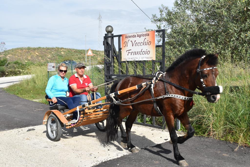 Il Vecchio Frantoio Villa Augusta Kültér fotó